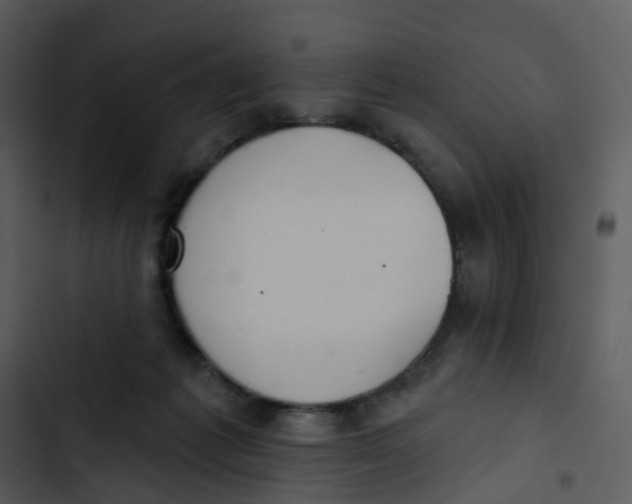 X0000102850221200809081251