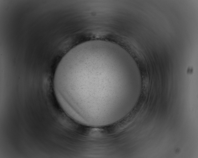 X0000102850222200809081251