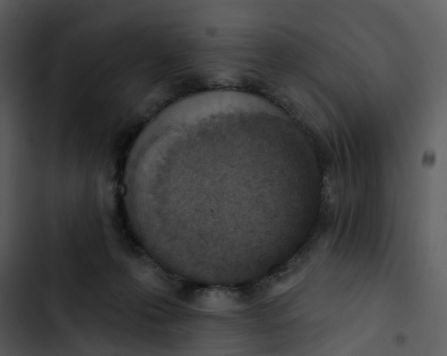 X0000102850223200809081251