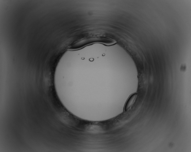 X0000102850224200809081251