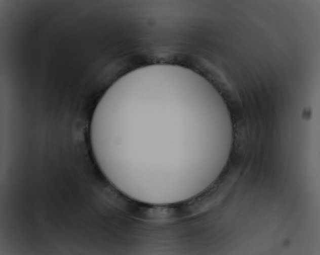 X0000102850225200809081251