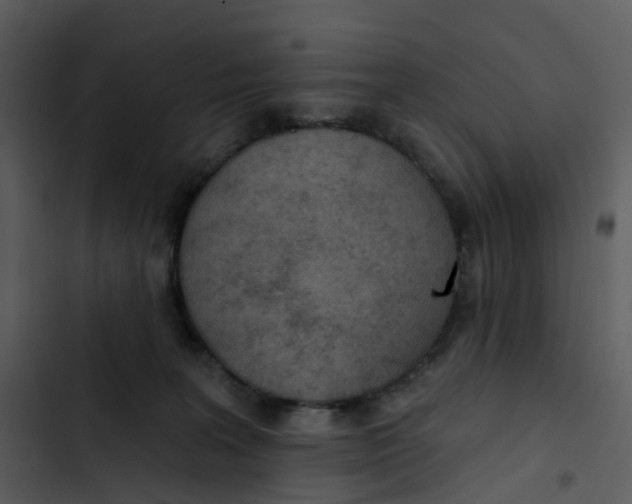 X0000102850227200809081251