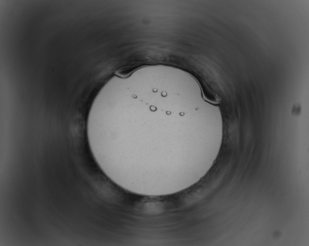 X0000102850228200809081251