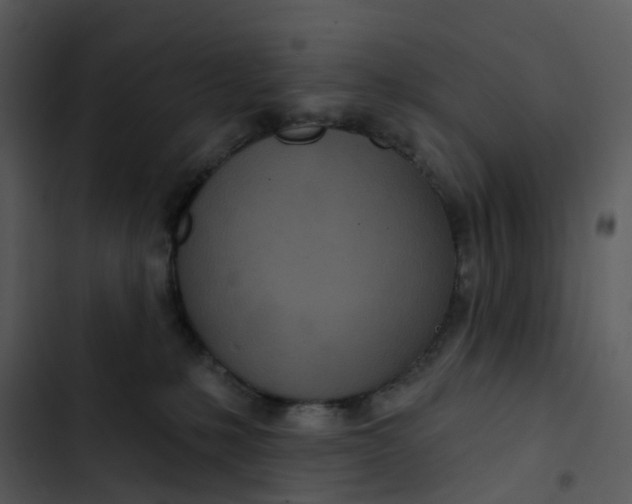 X0000102850231200809081251