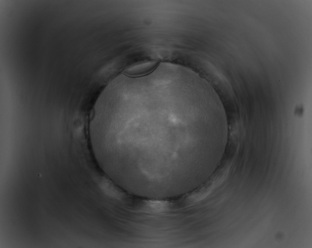 X0000102850233200809081251