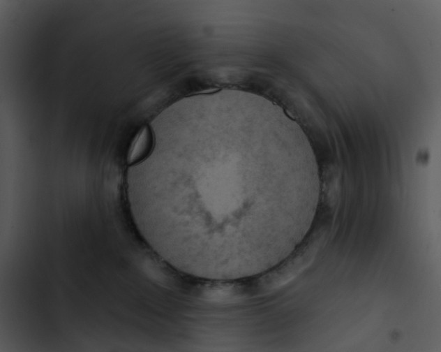 X0000102850235200809081251