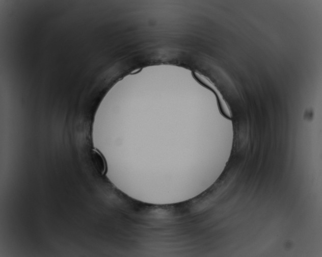 X0000102850236200809081251