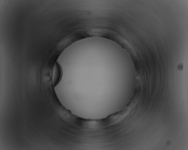 X0000102850237200809081251