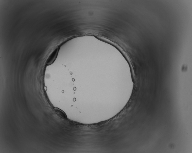 X0000102850241200809081250