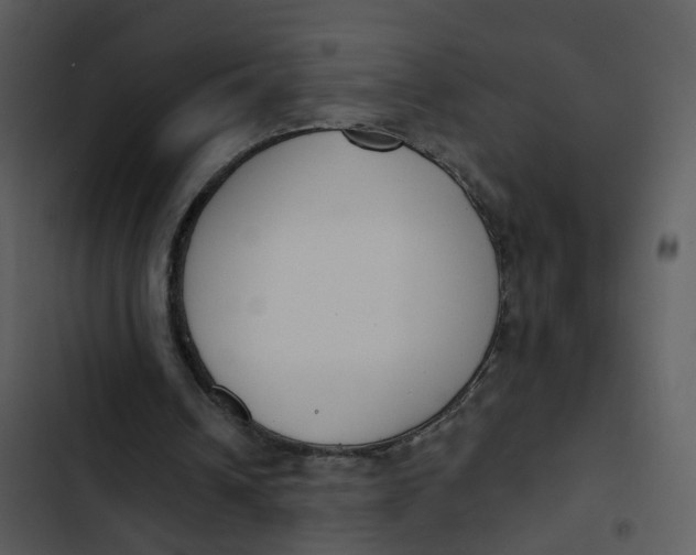 X0000102850242200809081250