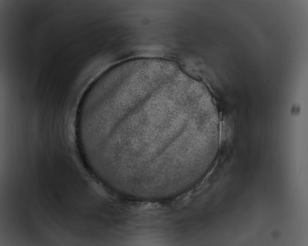 X0000102850243200809081250