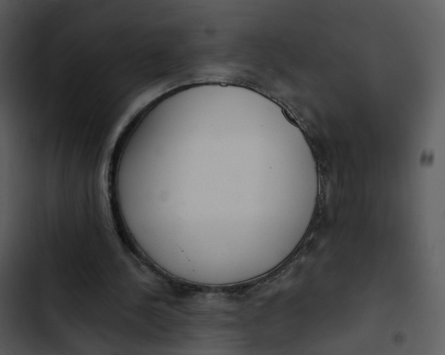 X0000102850244200809081250