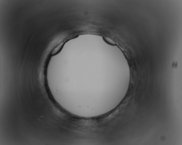 X0000102850245200809081250