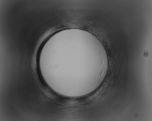 X0000102850246200809081250