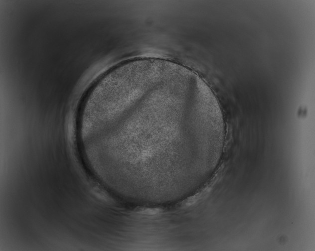 X0000102850247200809081250