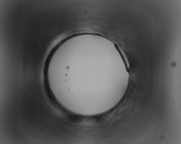 X0000102850248200809081250