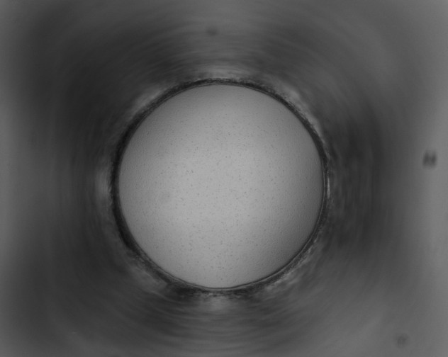 X0000102850249200809081250