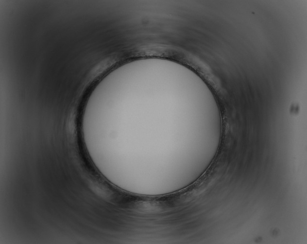 X0000102850250200809081250