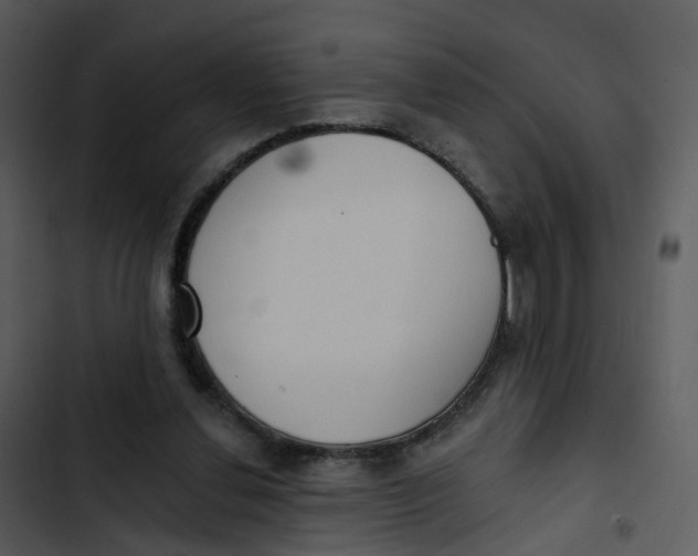 X0000102850252200809081250