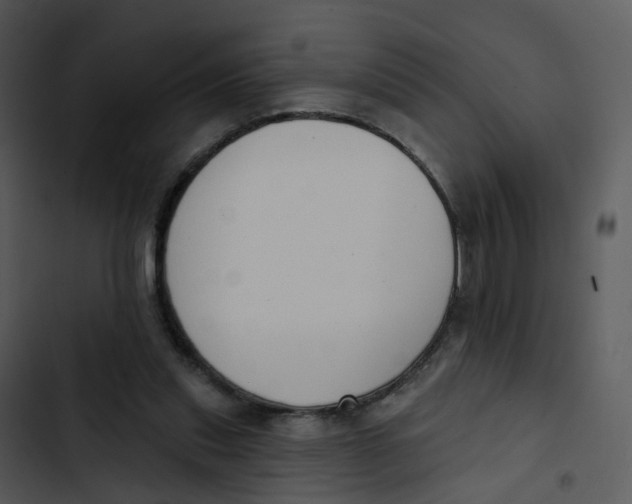 X0000102850253200809081250