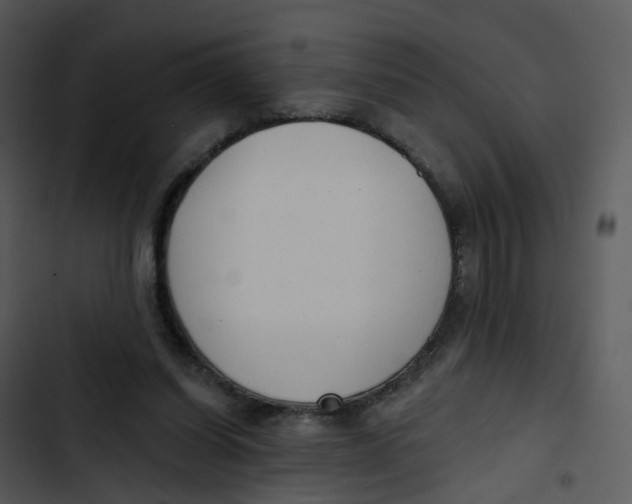 X0000102850254200809081250