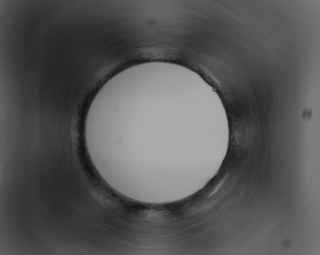 X0000102850255200809081250