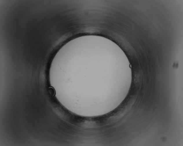 X0000102850256200809081250