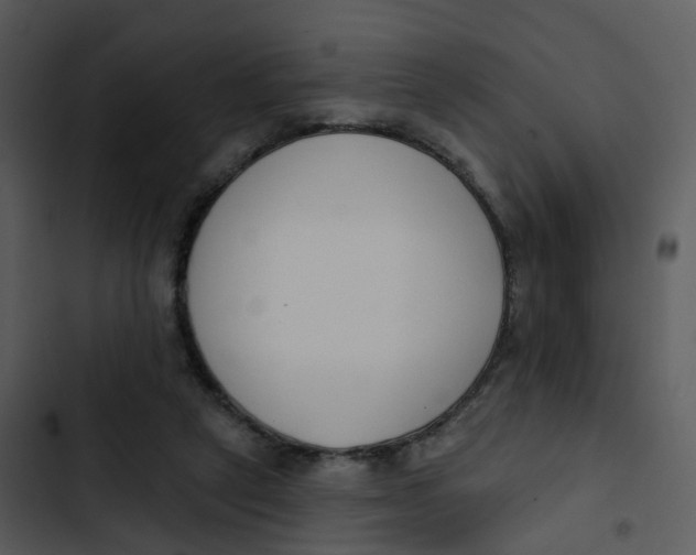 X0000102850257200809081250