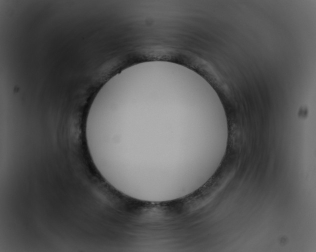 X0000102850259200809081250