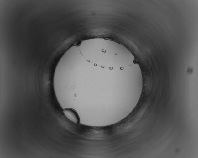 X0000102850260200809081250