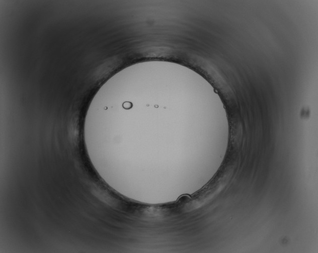 X0000102850261200809081250