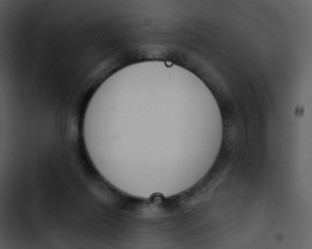 X0000102850262200809081250