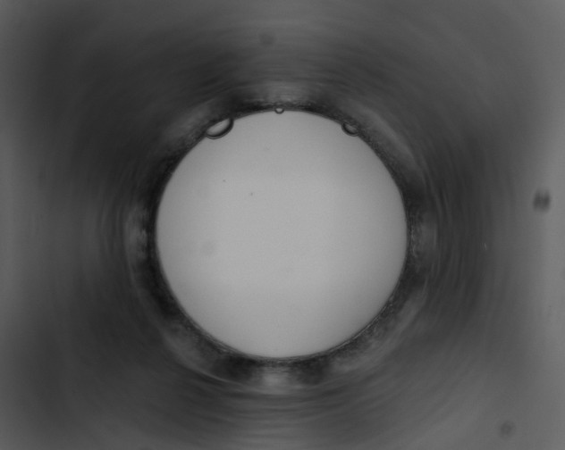 X0000102850264200809081250