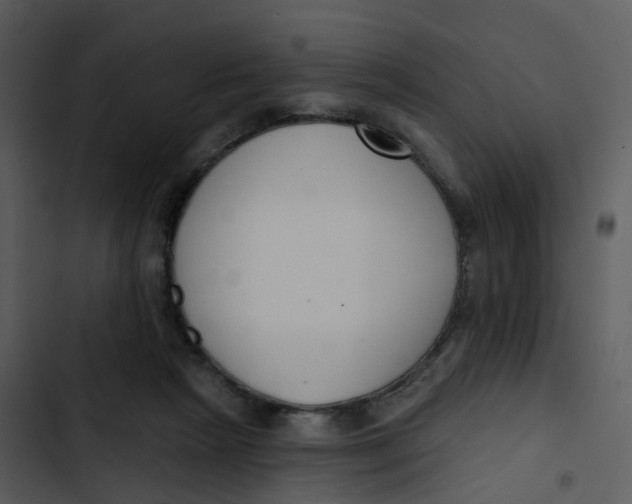 X0000102850265200809081250