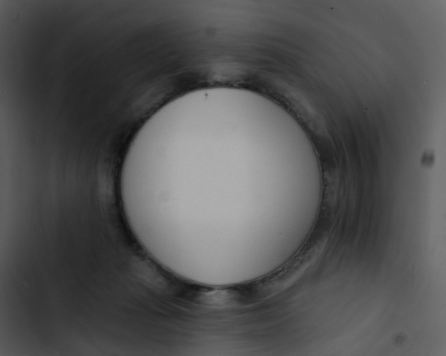 X0000102850269200809081250