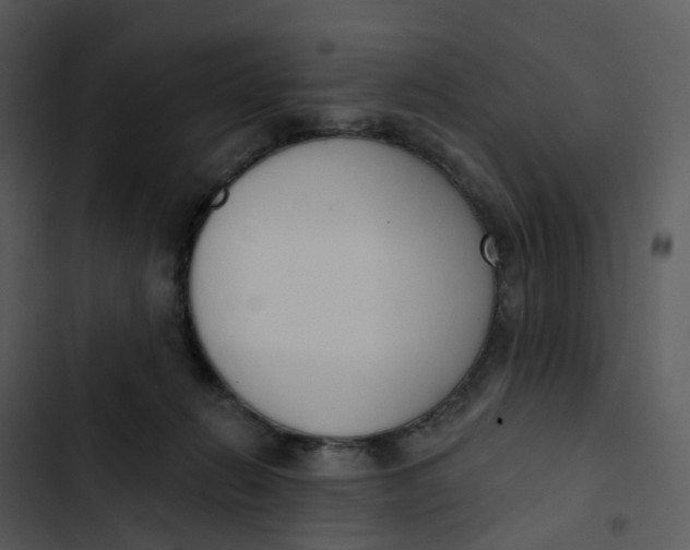 X0000102850270200809081250