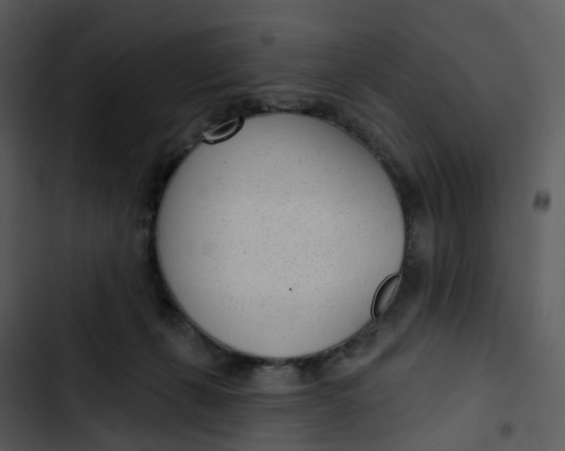 X0000102850271200809081250