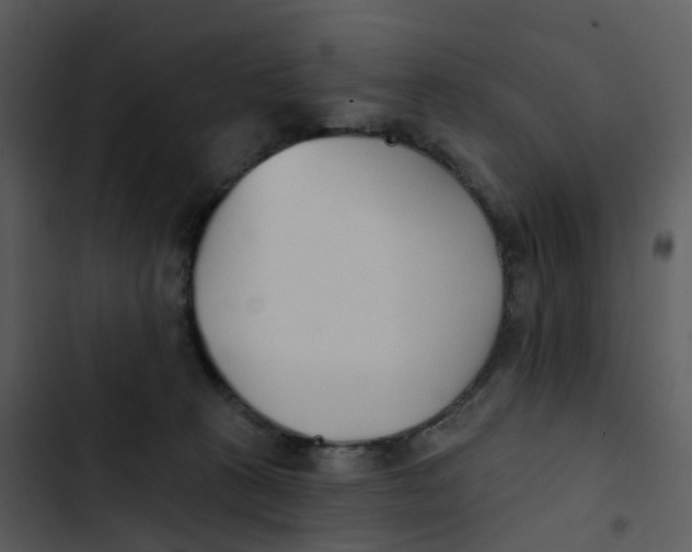 X0000102850273200809081250