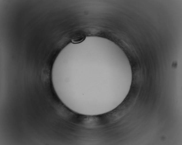 X0000102850274200809081250