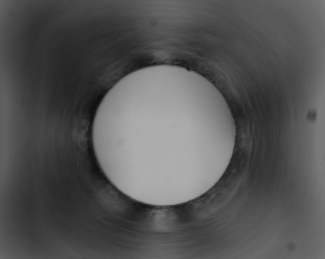 X0000102850275200809081250