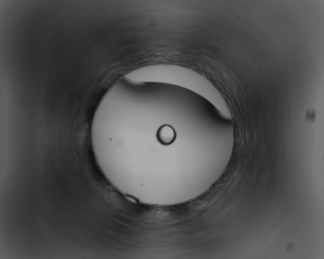 X0000102850276200809081250