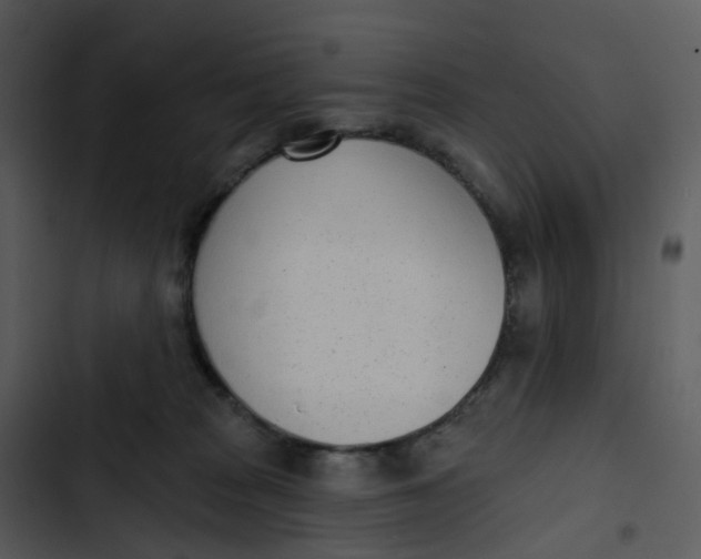 X0000102850277200809081250