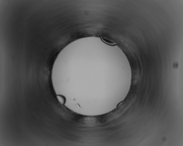 X0000102850279200809081250