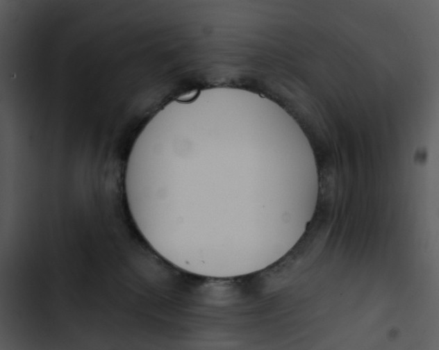 X0000102850280200809081251