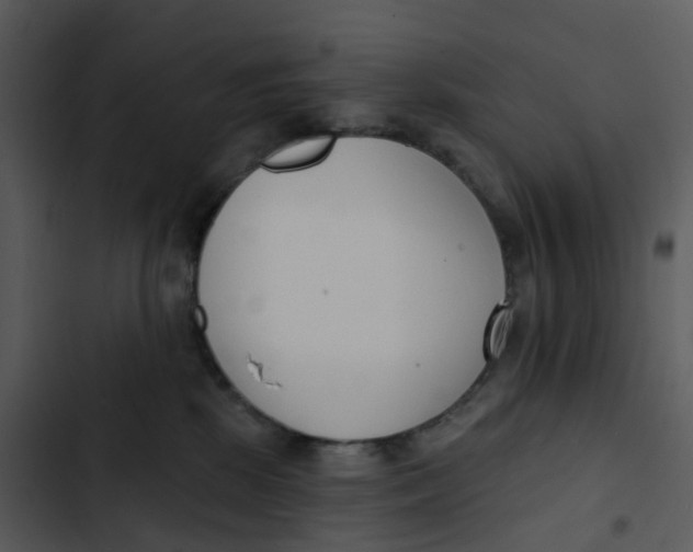 X0000102850281200809081251