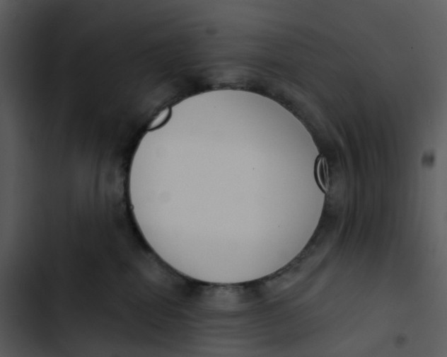 X0000102850282200809081251