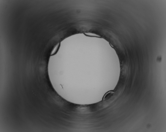 X0000102850283200809081251