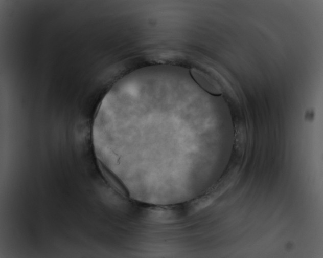 X0000102850284200809081251