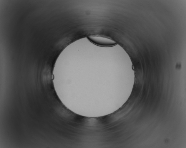 X0000102850287200809081251