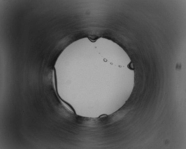 X0000102850288200809081251